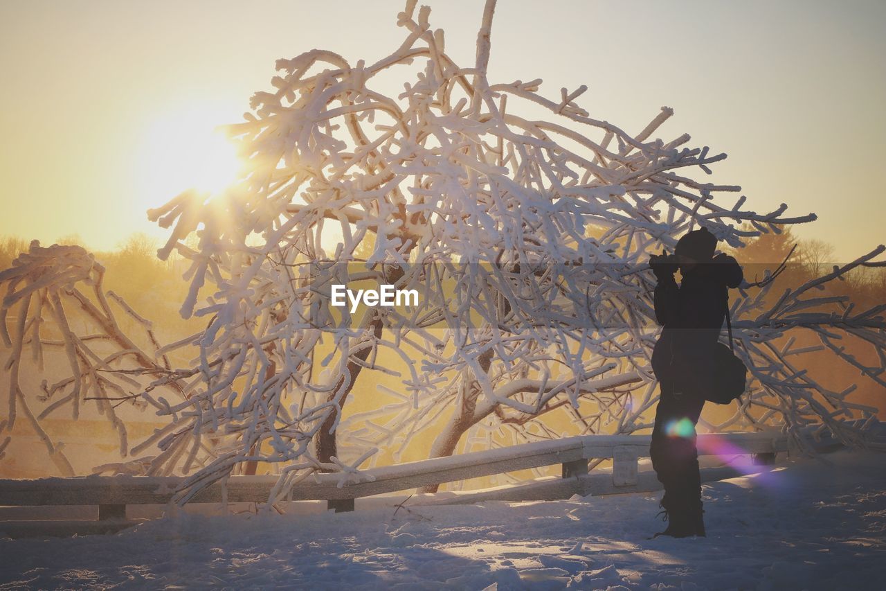 Man photographing by snow covered tree