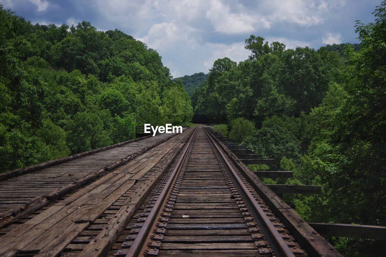 Railroad track on trestle against trees