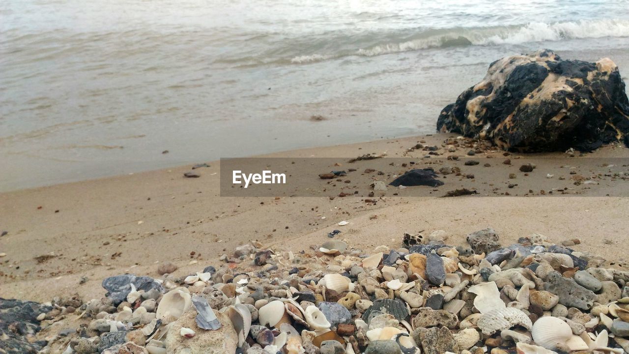 High angle view of pebbles and seashells at beach