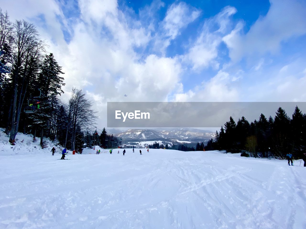 SNOW COVERED LAND AND TREES AGAINST SKY