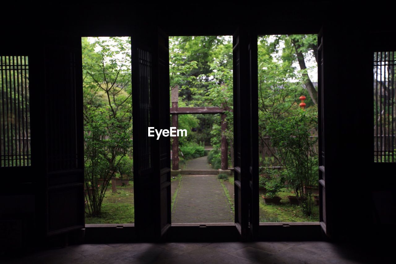 Trees seen through open doors
