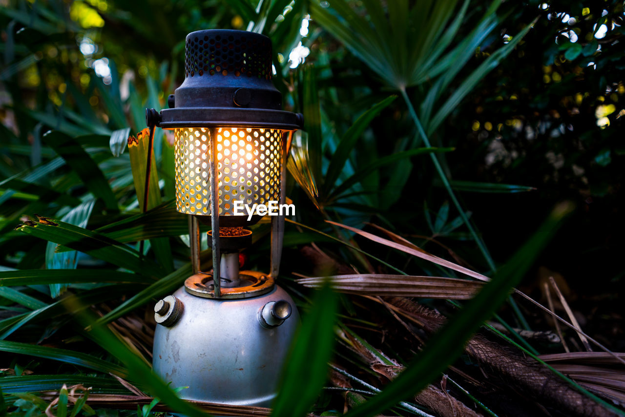 light, lighting equipment, green, lighting, plant, lantern, no people, electric lamp, nature, tree, metal, focus on foreground, close-up, outdoors, illuminated, yellow