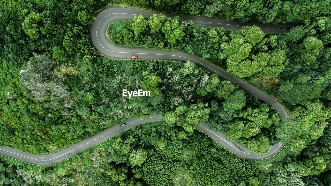 Aerial view of winding road trough the dense forest with two cars passing through in madeira island