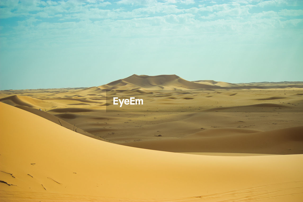 scenic view of desert