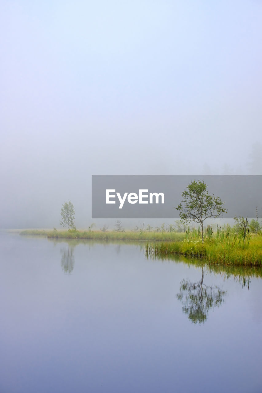 Morning fog at a lake on a bog and water reflections