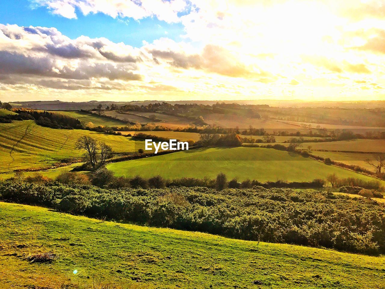 Scenic view of agricultural field against sky during sunset