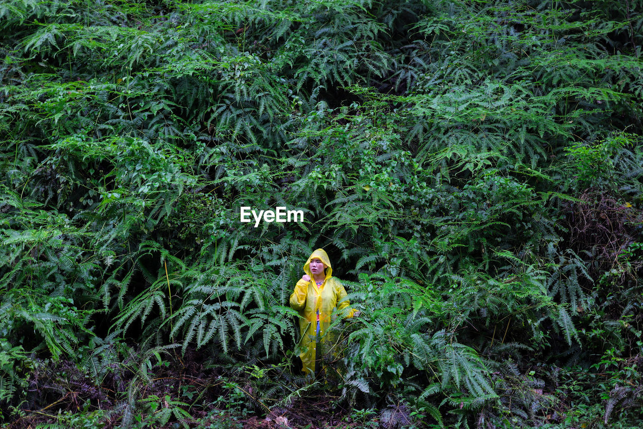 Woman wearing raincoat while standing amidst plants during rainy season