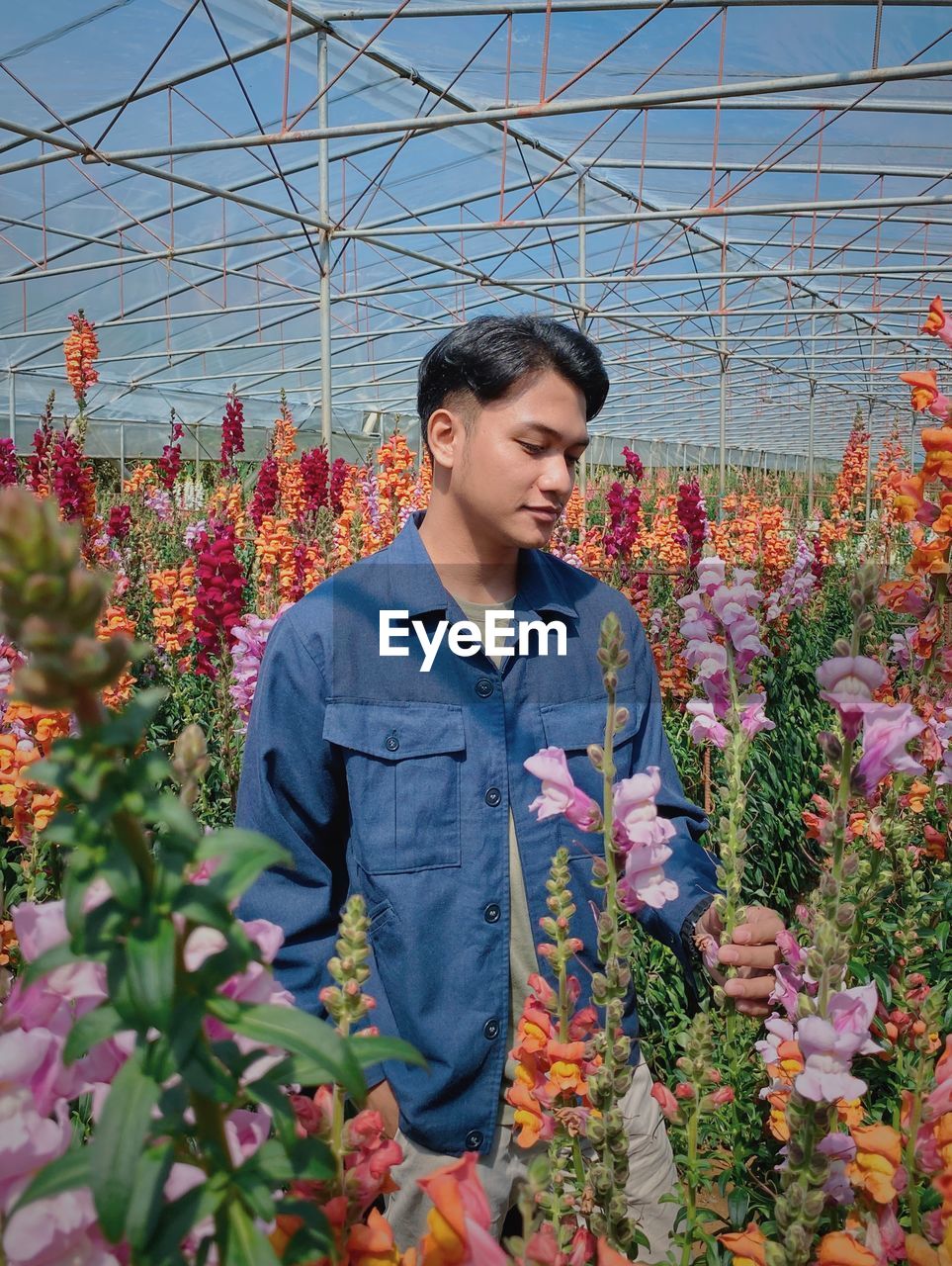 Portrait of young man standing amidst flowers