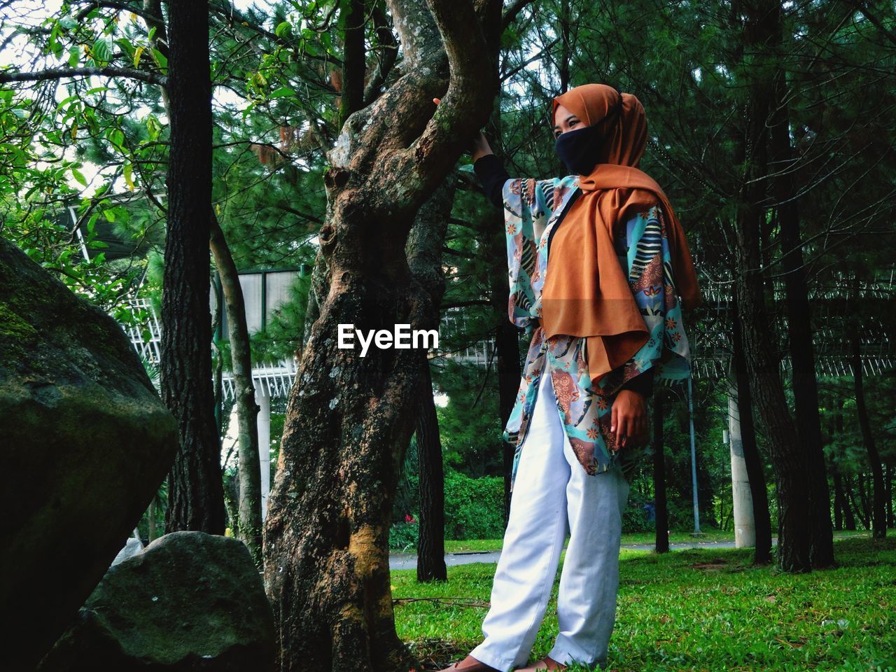 Rear view of woman standing by tree trunk in forest