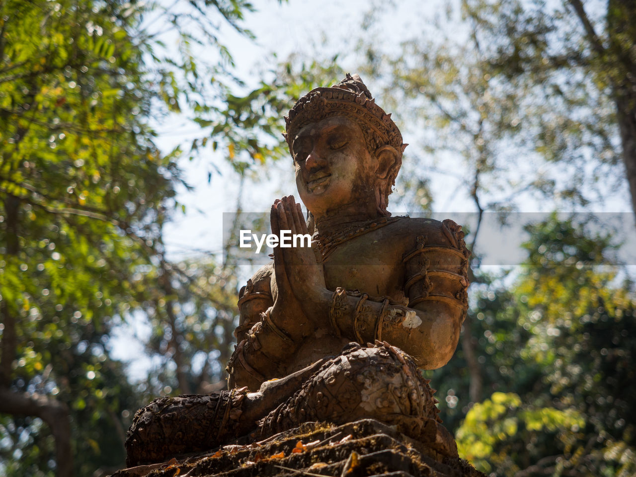 Low angle view of buddha statue against trees