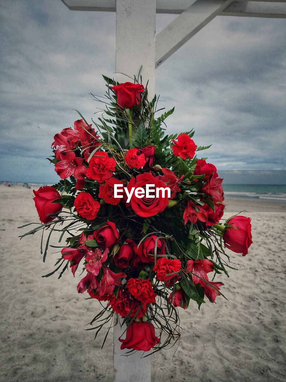 Close-up of red rose bouquet against sky on beach