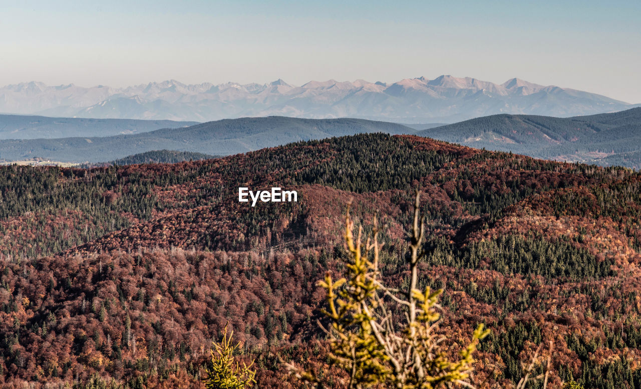 Scenic view of landscape and mountains against sky