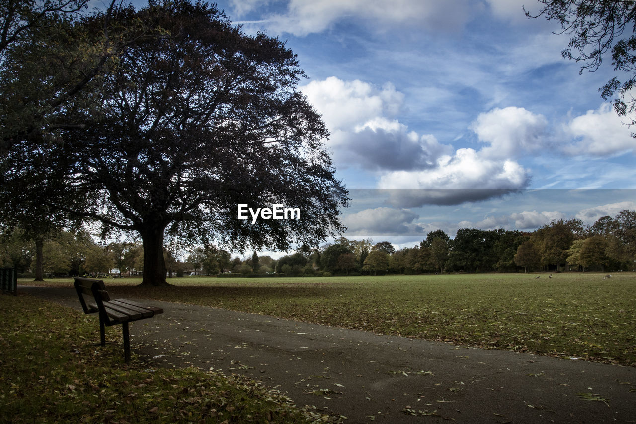 Empty bench on field by trees against sky