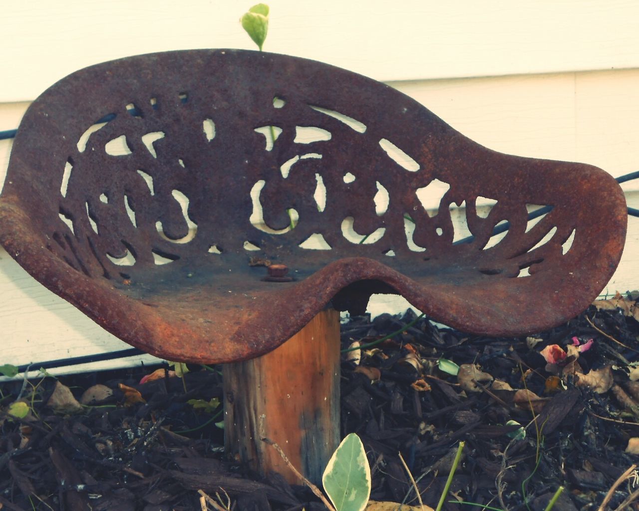 Close-up of rusty metallic chair