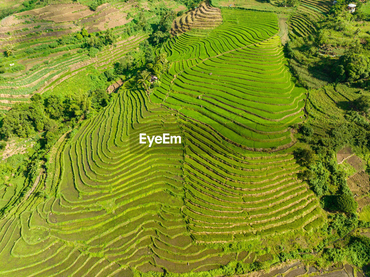 high angle view of landscape