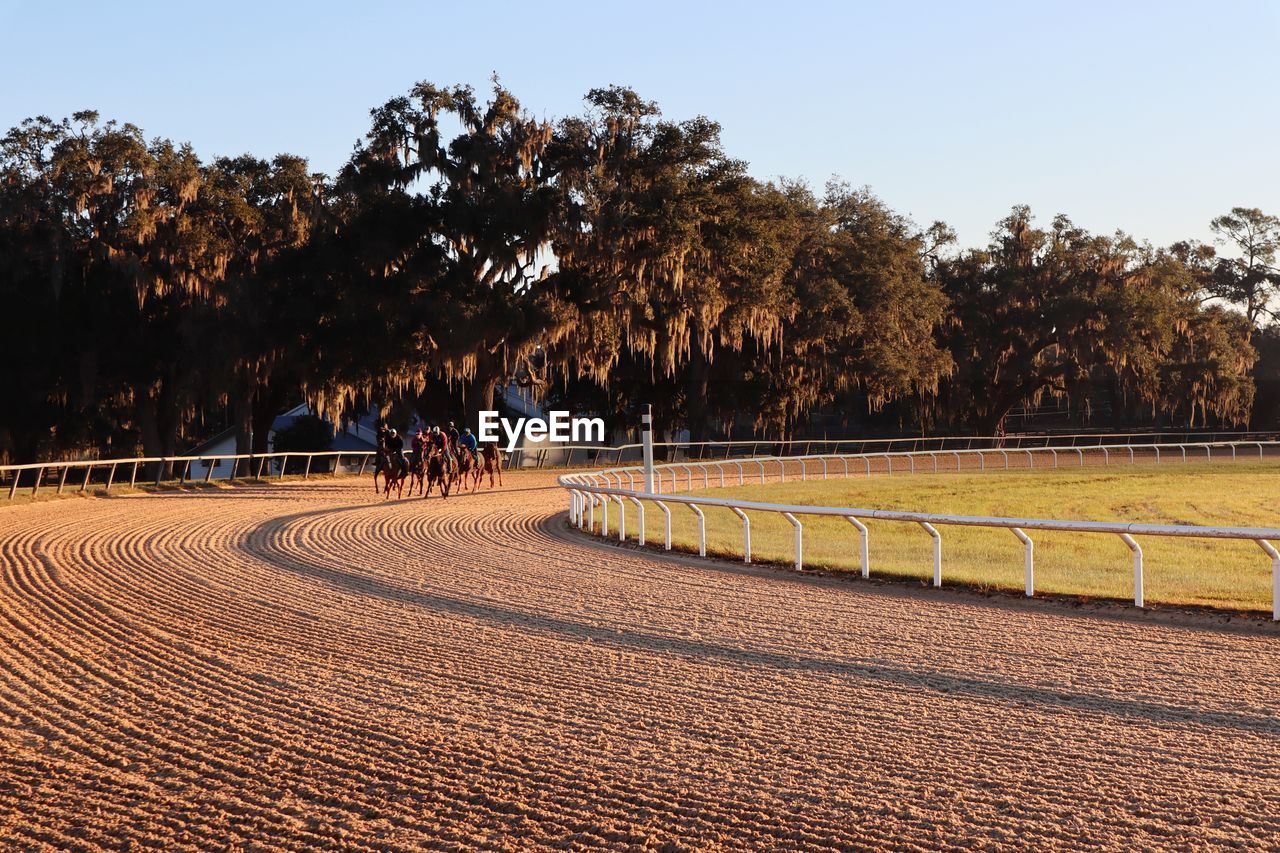 People riding horse on dirt road