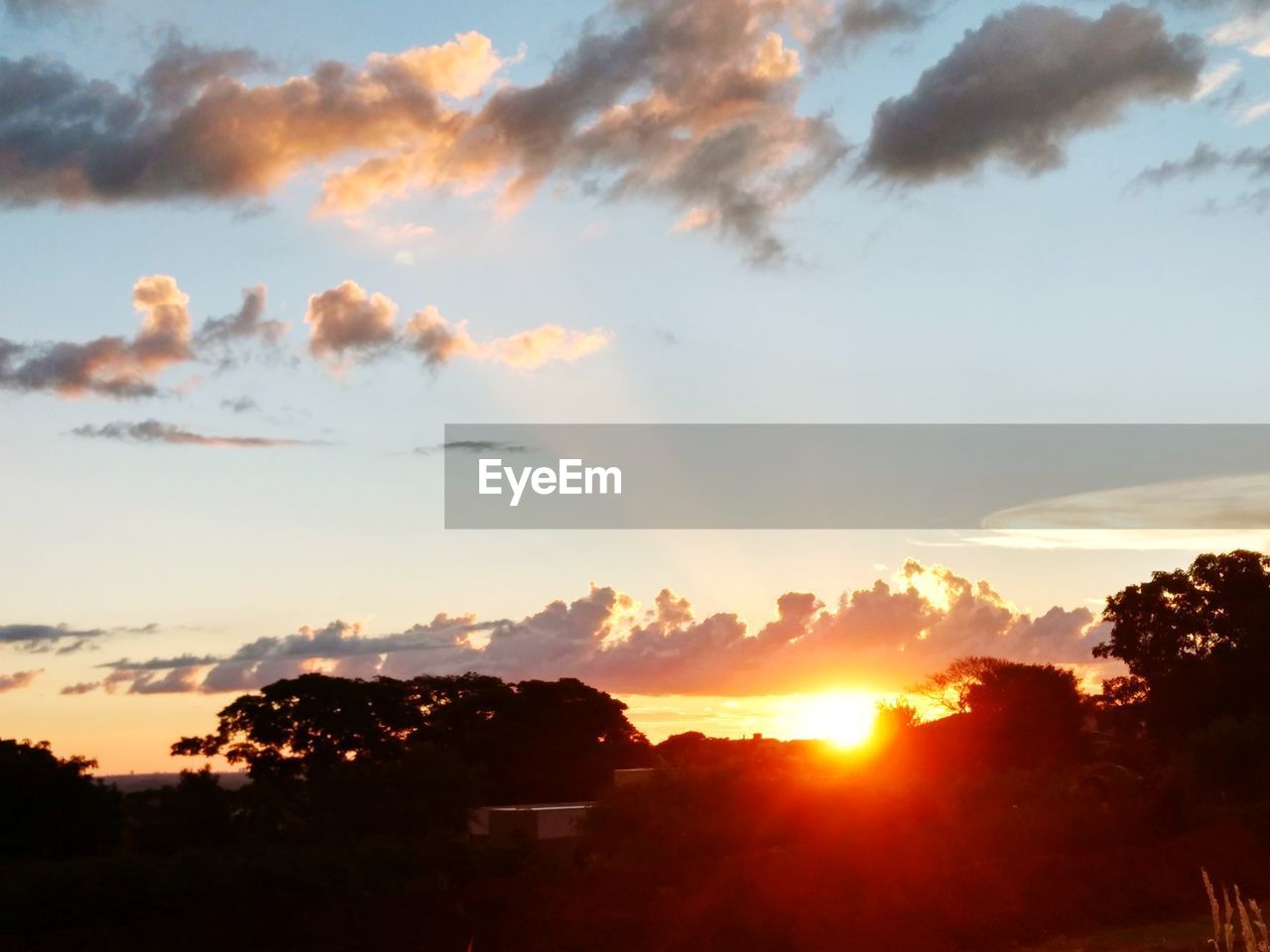 SCENIC VIEW OF SUNSET OVER SILHOUETTE TREES