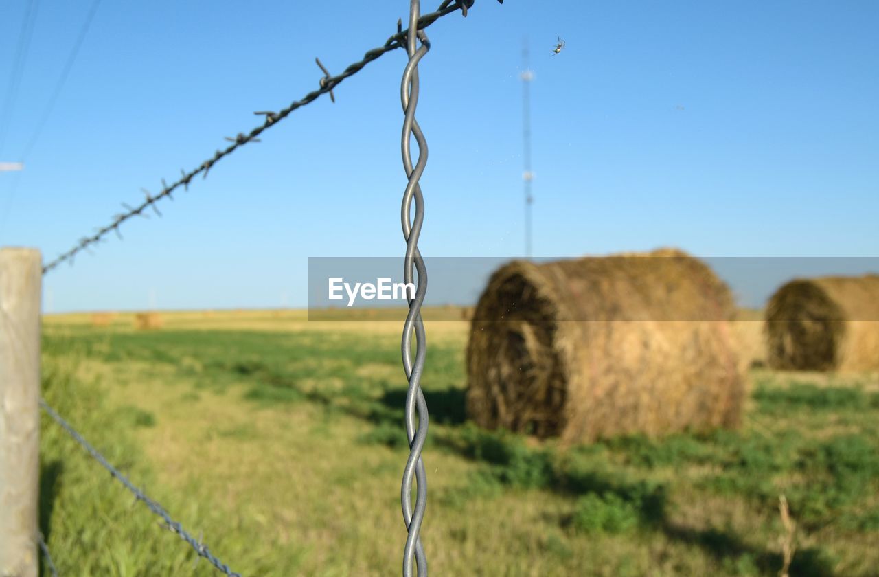 Hay beyond barbed wire