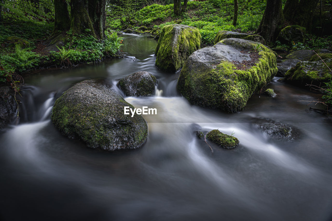 SCENIC VIEW OF WATERFALL