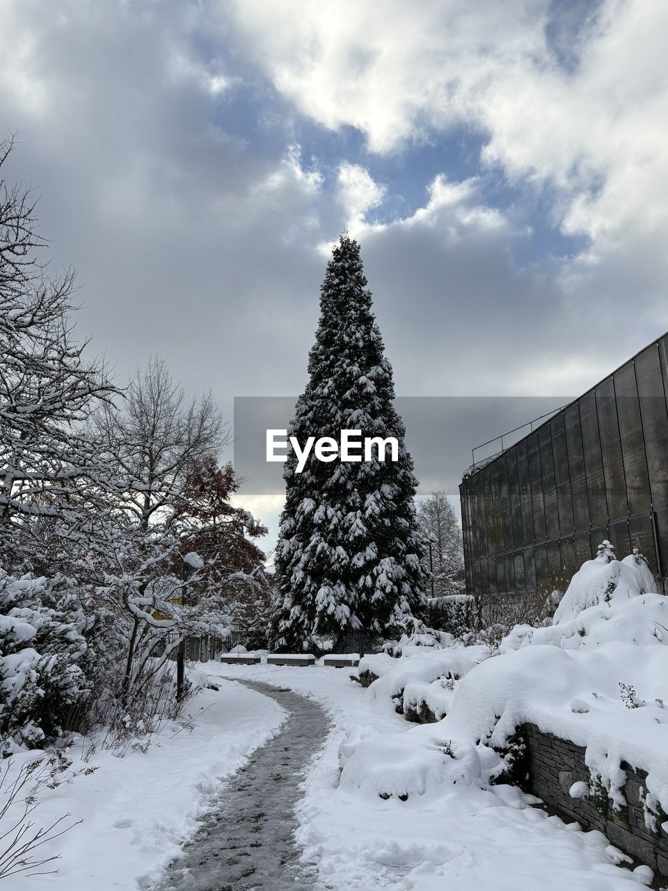 winter, snow, cloud, sky, nature, tree, cold temperature, plant, freezing, architecture, built structure, day, no people, beauty in nature, white, scenics - nature, environment, low angle view, outdoors, reflection, frozen, frost, tranquility