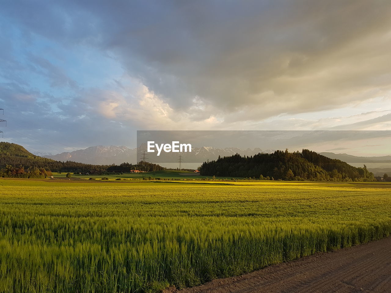 Scenic view of agricultural field against sky