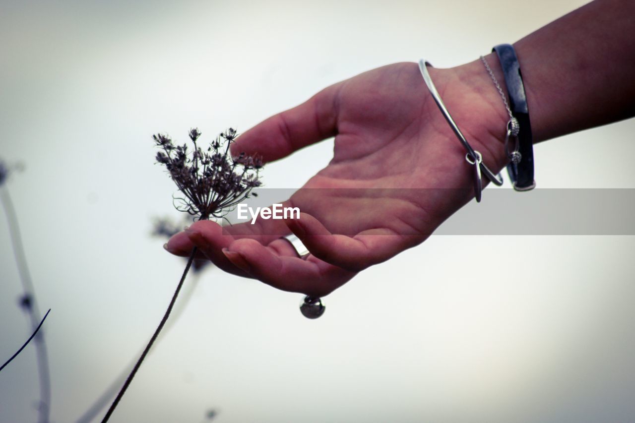 CLOSE-UP OF HANDS HOLDING FLOWERS