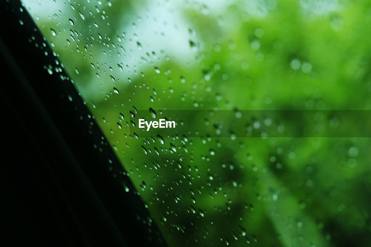 CLOSE-UP OF WATER DROPS ON WINDOW