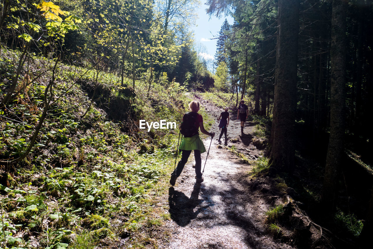 REAR VIEW OF MAN WALKING ON TREE IN FOREST