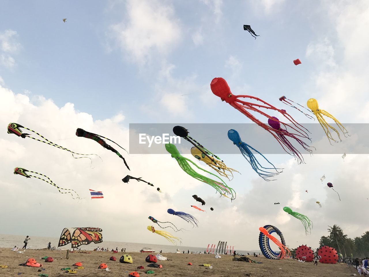 LOW ANGLE VIEW OF KITES AGAINST SKY