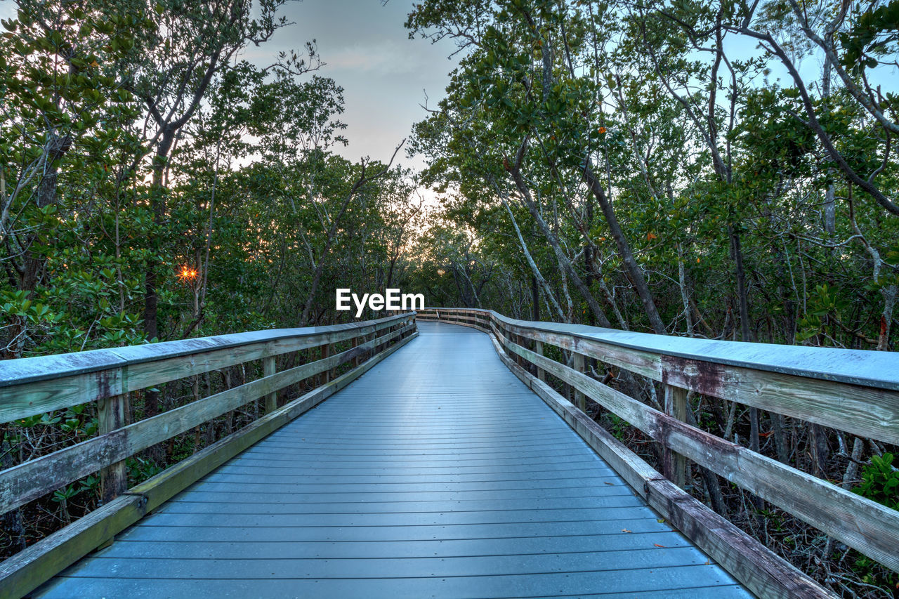 Boardwalk through the swamp, leading to clam pass at sunset in naples, florida