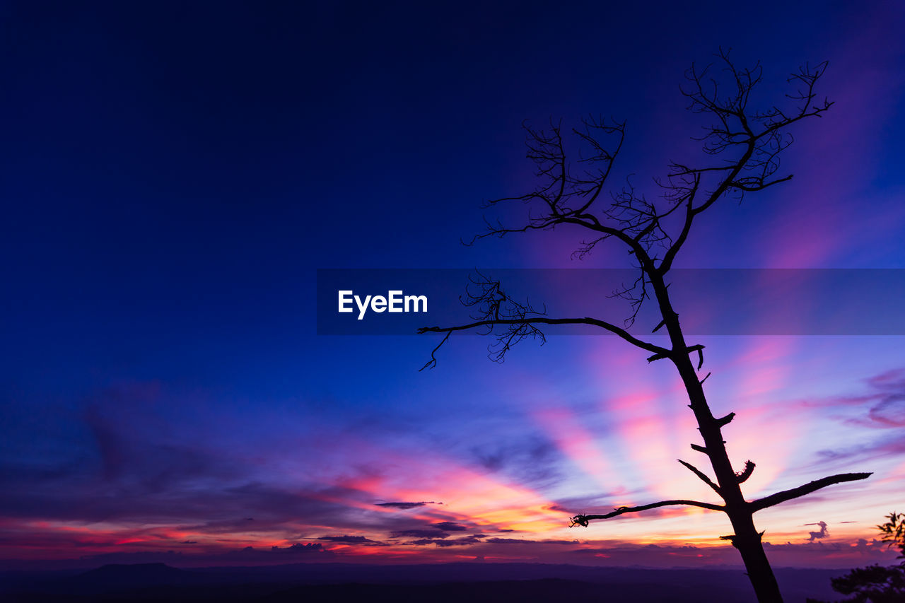 SILHOUETTE BARE TREE AGAINST DRAMATIC SKY DURING SUNSET