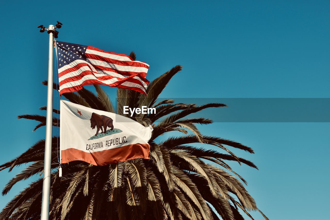 California and american flag with palm tree