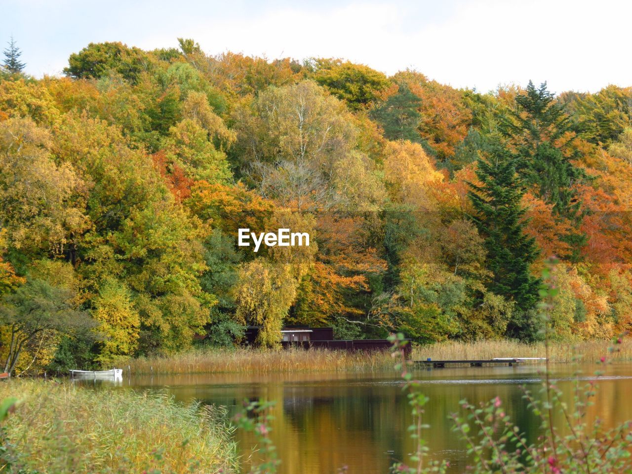 Scenic view of calm lake surrounded by trees