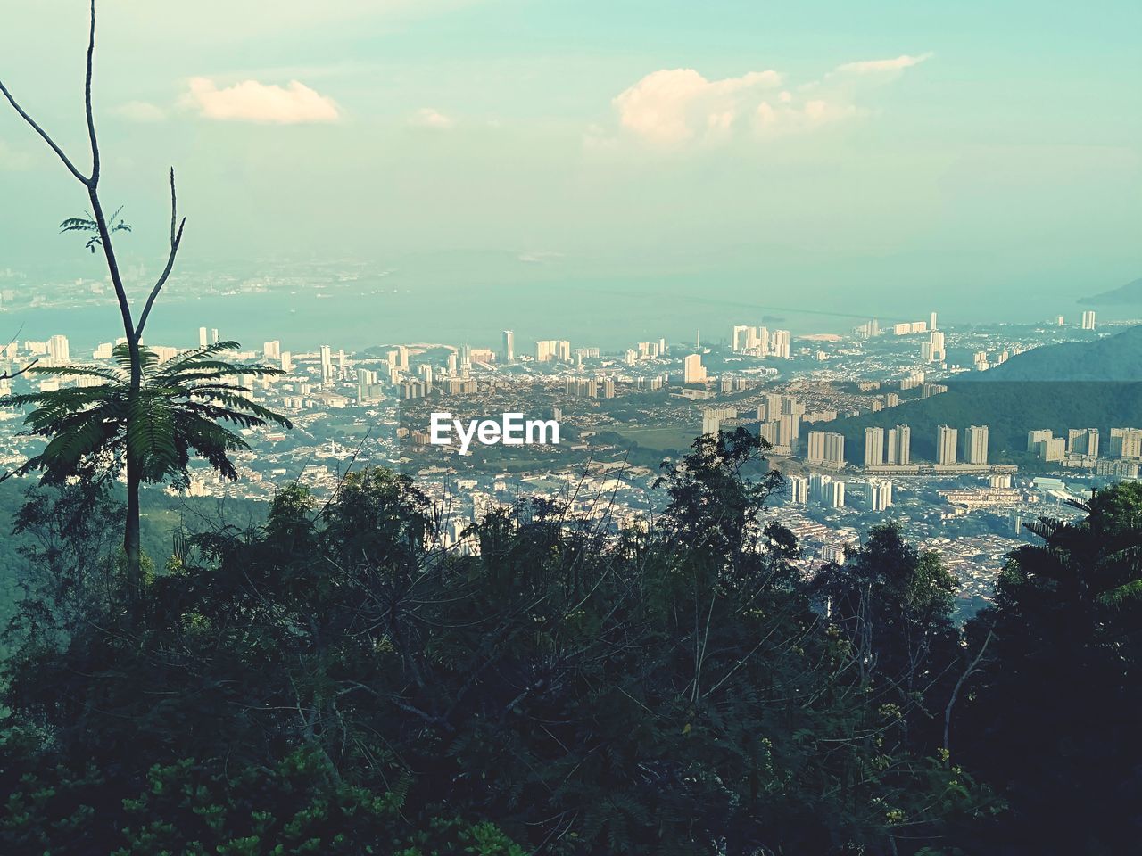 HIGH ANGLE VIEW OF TREES AND BUILDINGS IN CITY