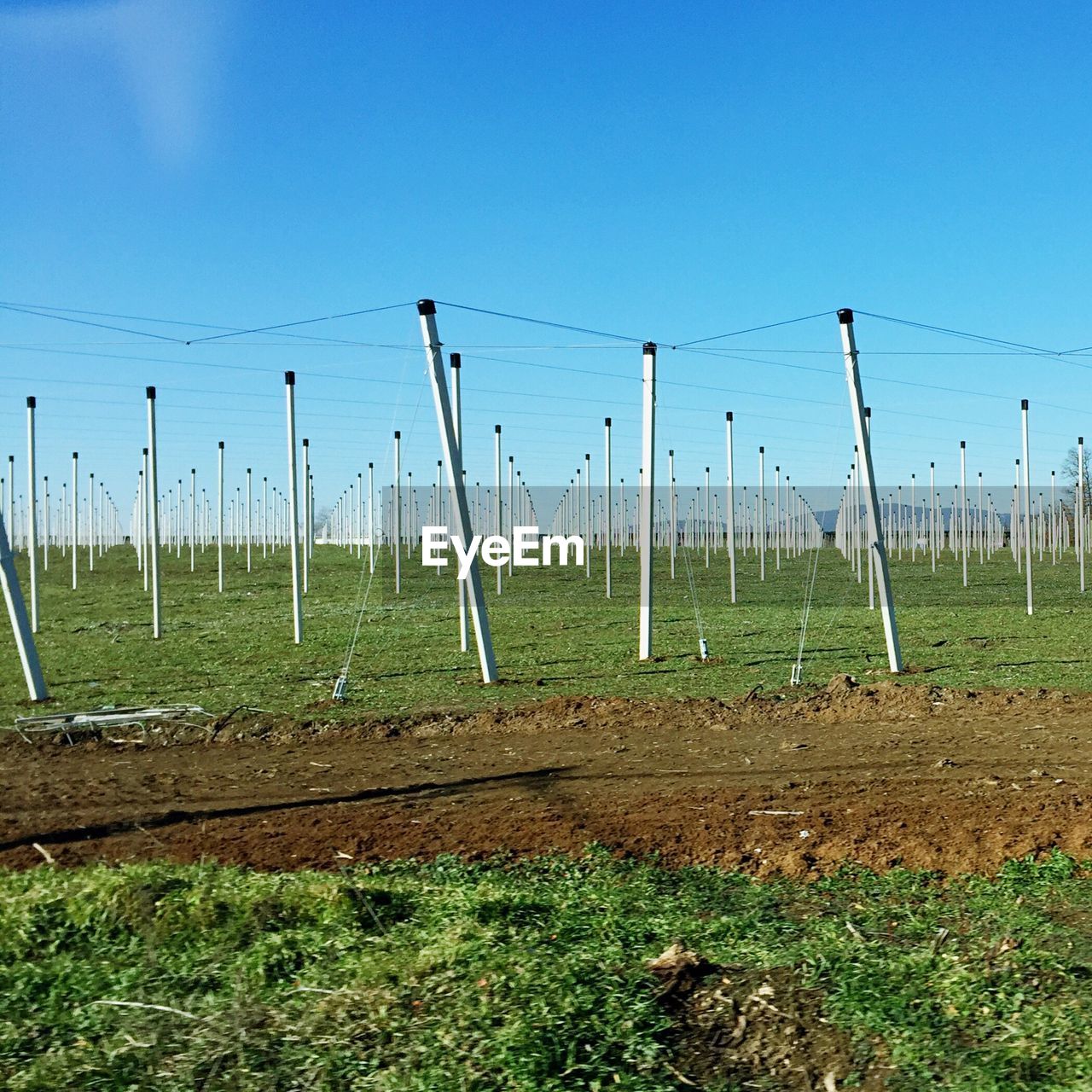 VIEW OF GRASSY FIELD AGAINST CLOUDY SKY