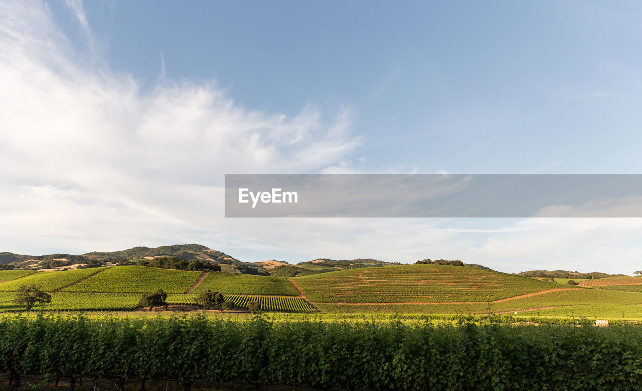 Scenic view of field against cloudy sky