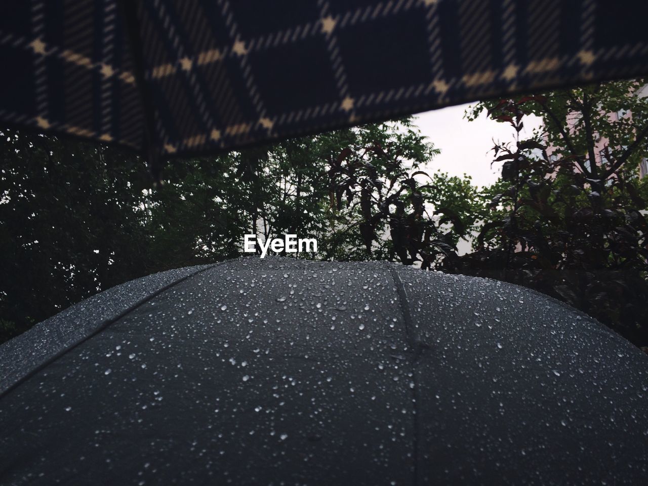 RAINDROPS ON CAR WINDOW