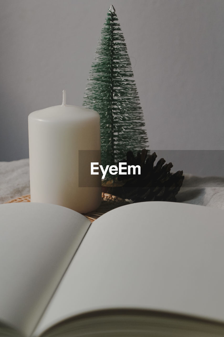 Decorative candles, a miniature christmas tree and pine cones on the table.