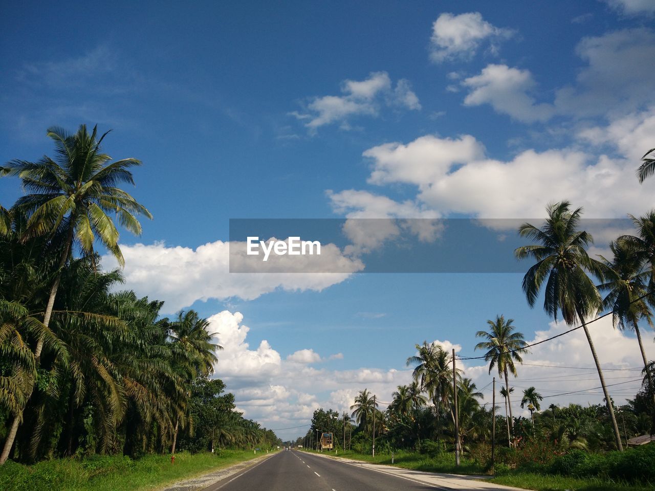 Road amidst trees against sky