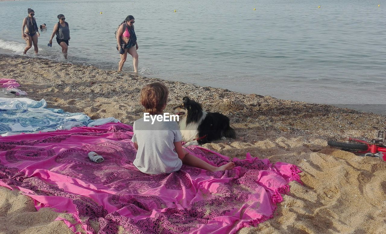 FULL LENGTH OF DOG ON BEACH