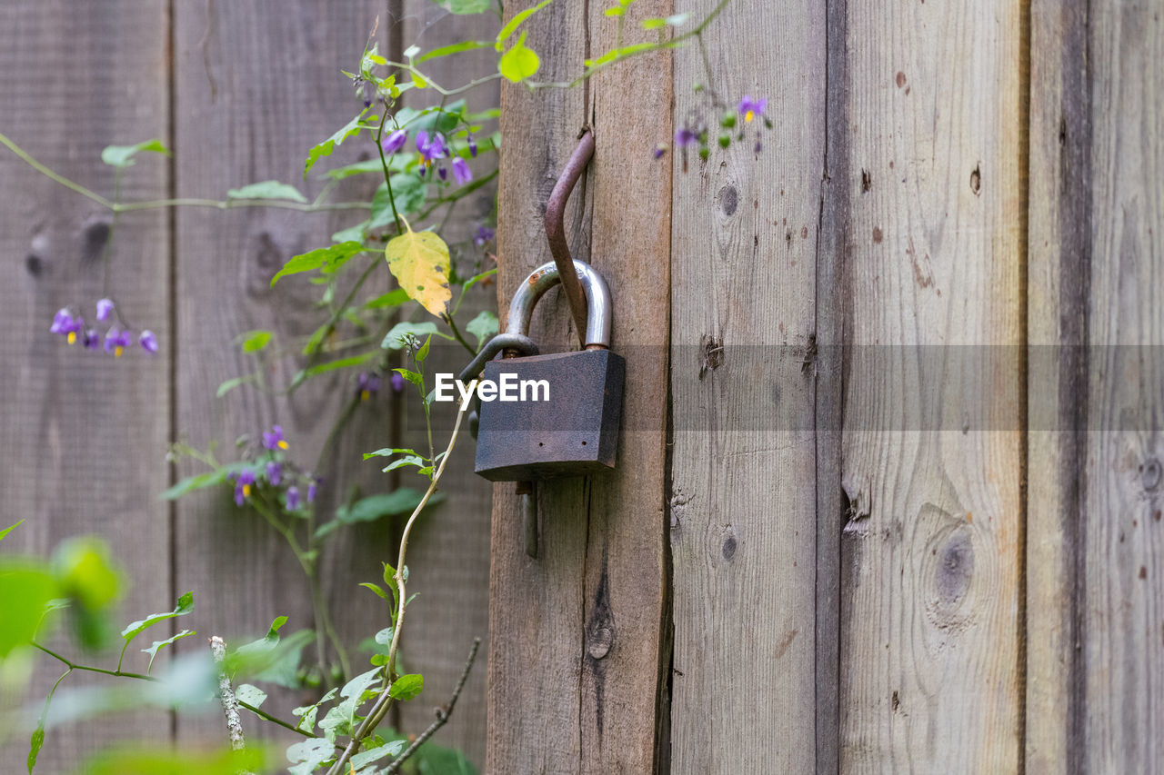 CLOSE-UP OF PADLOCKS ON FENCE