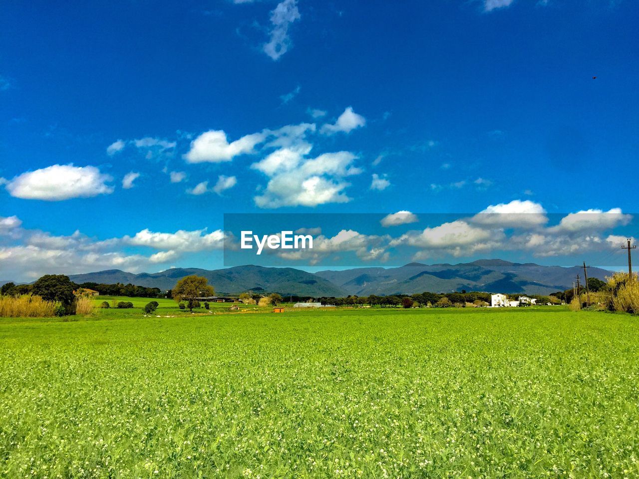 Scenic view of green landscape against blue sky on sunny day