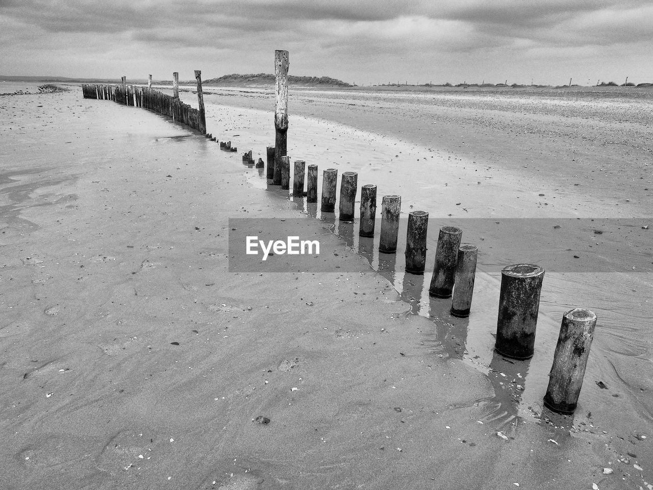 ROW OF WOODEN POSTS ON BEACH