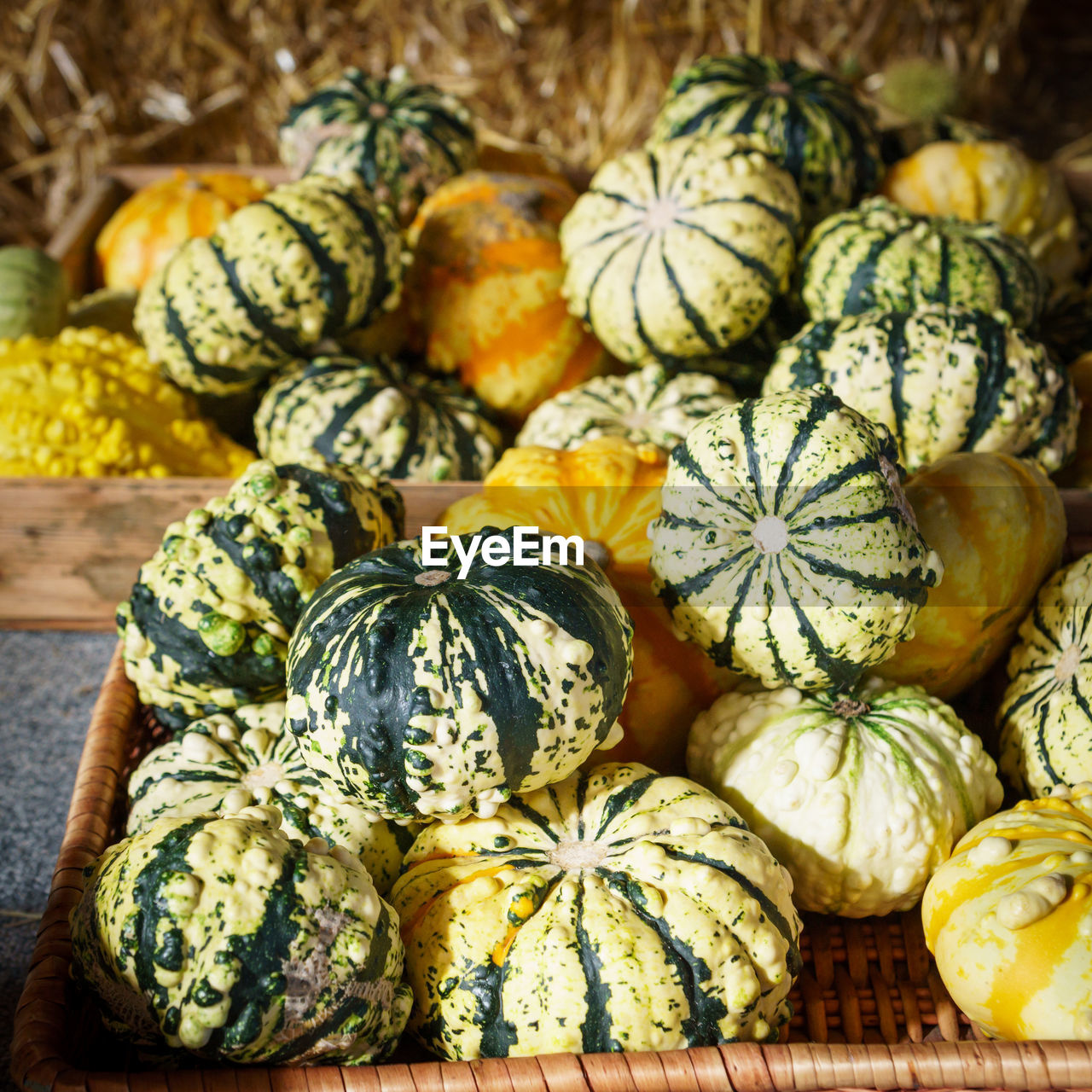 HIGH ANGLE VIEW OF PUMPKINS AT MARKET