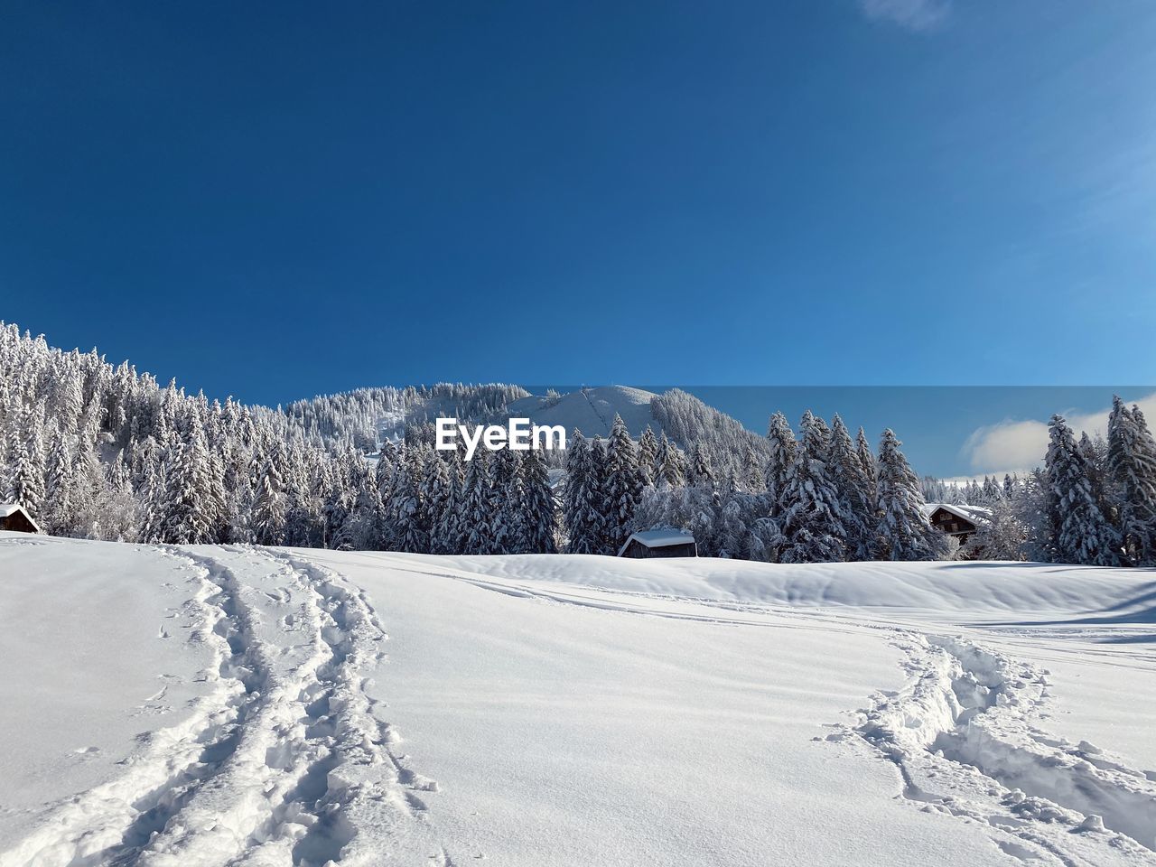 Snow covered landscape against blue sky