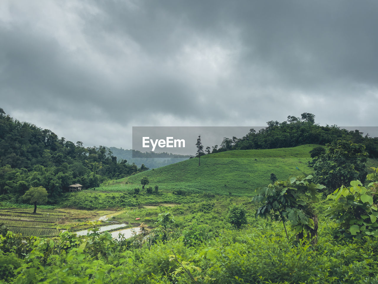 environment, landscape, nature, cloud, land, plant, sky, hill, scenics - nature, tree, highland, rural area, beauty in nature, rural scene, overcast, green, field, agriculture, social issues, crop, no people, forest, travel, growth, environmental conservation, storm, valley, tranquility, storm cloud, outdoors, rain, plateau, tourism, grass, travel destinations, meadow, farm, foliage, dramatic sky, lush foliage, tropical climate, fog, wet, mountain range, natural environment, non-urban scene, food and drink, tea crop, architecture, tranquil scene