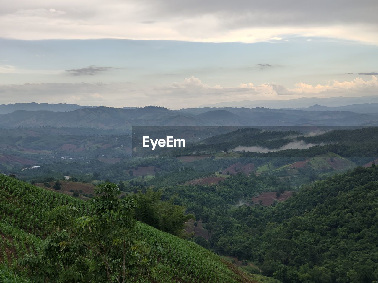 HIGH ANGLE VIEW OF LANDSCAPE