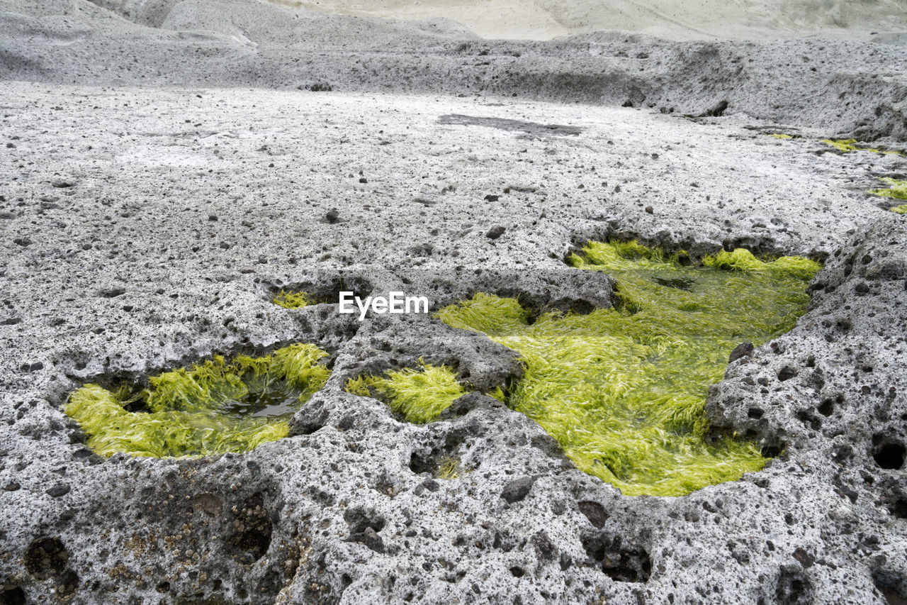 HIGH ANGLE VIEW OF STONES ON LAND