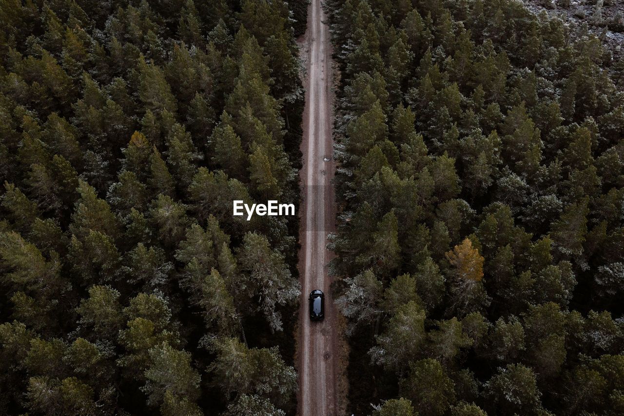 Drone view of lonely car driving along road in coniferous woods in winter in scottish highlands