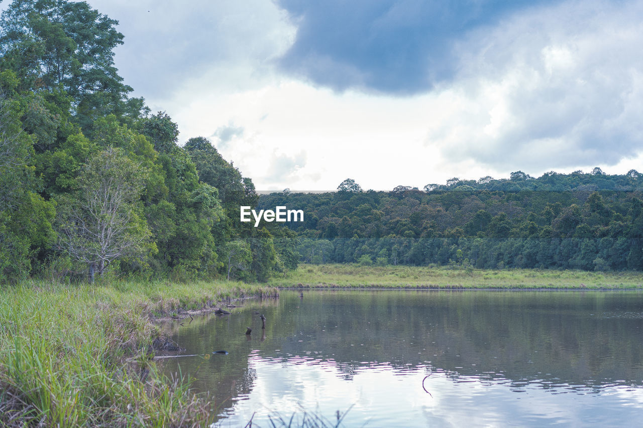SCENIC VIEW OF LAKE WITH TREES AGAINST SKY